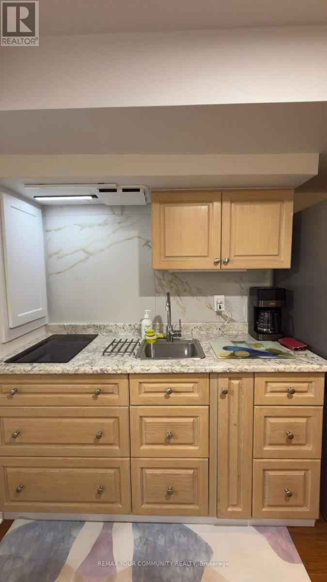 Basement - 15 Springhead Gardens, Richmond Hill (North Richvale), Ontario  L4C 5B8 - Photo 8 - N12894974