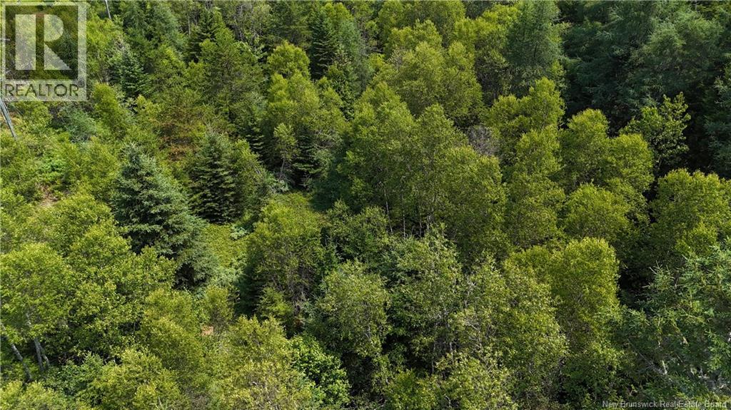 Route 780, Utopia, New Brunswick  E5C 2G1 - Photo 2 - NB135034