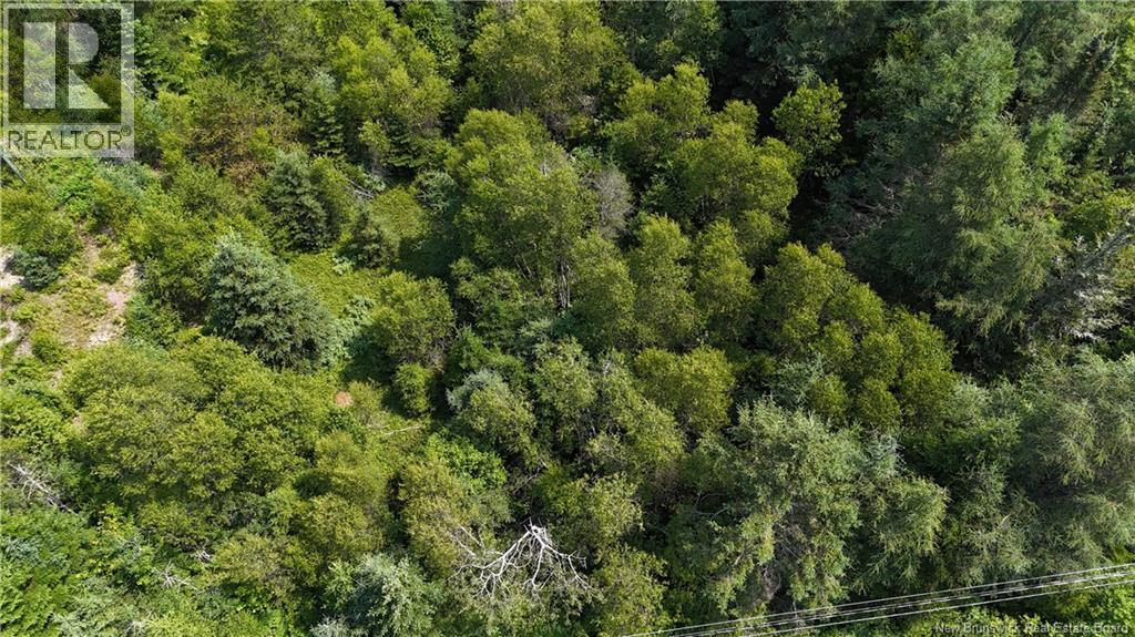 Route 780, Utopia, New Brunswick  E5C 2G1 - Photo 3 - NB135034