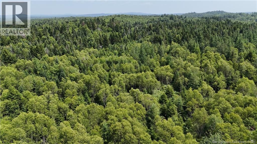 Route 780, Utopia, New Brunswick  E5C 2G1 - Photo 5 - NB135034