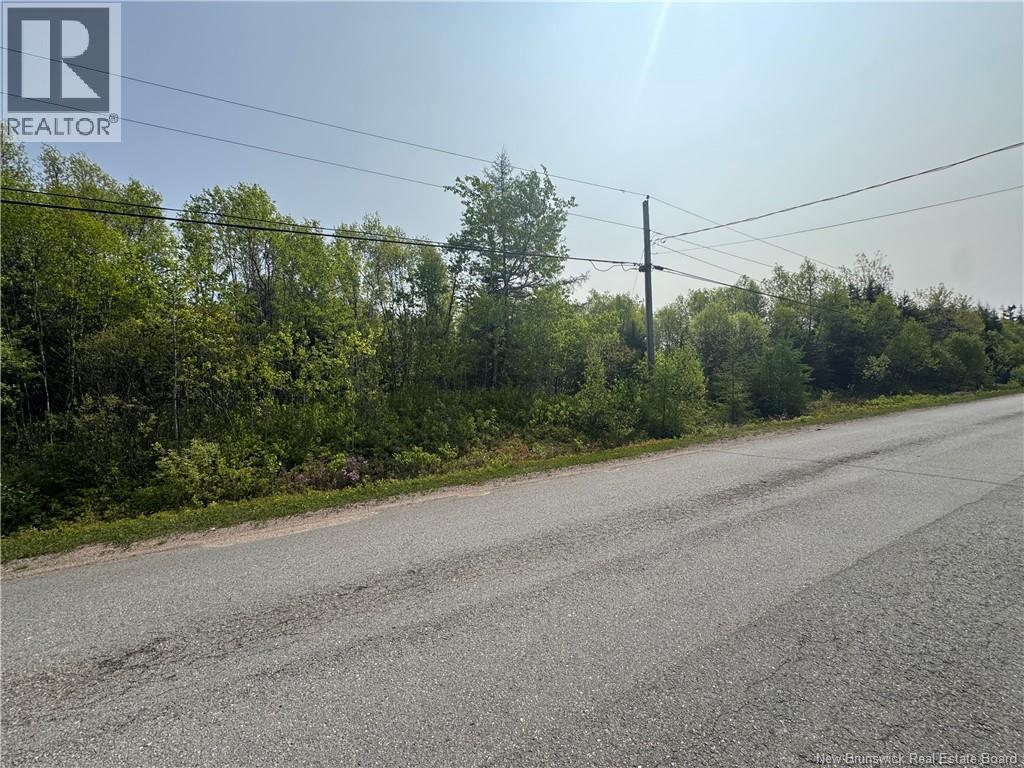 Route 770, Lee Settlement, New Brunswick  E5C 1G3 - Photo 2 - NB135043