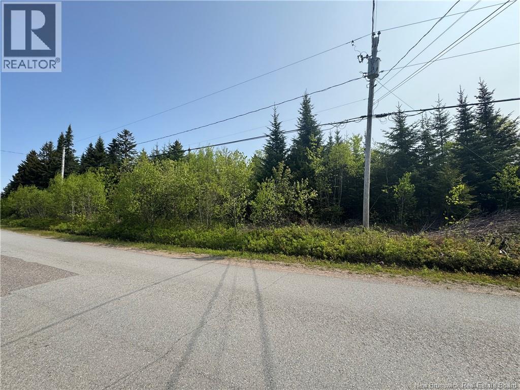 Route 770, Lee Settlement, New Brunswick  E5C 1G3 - Photo 5 - NB135043