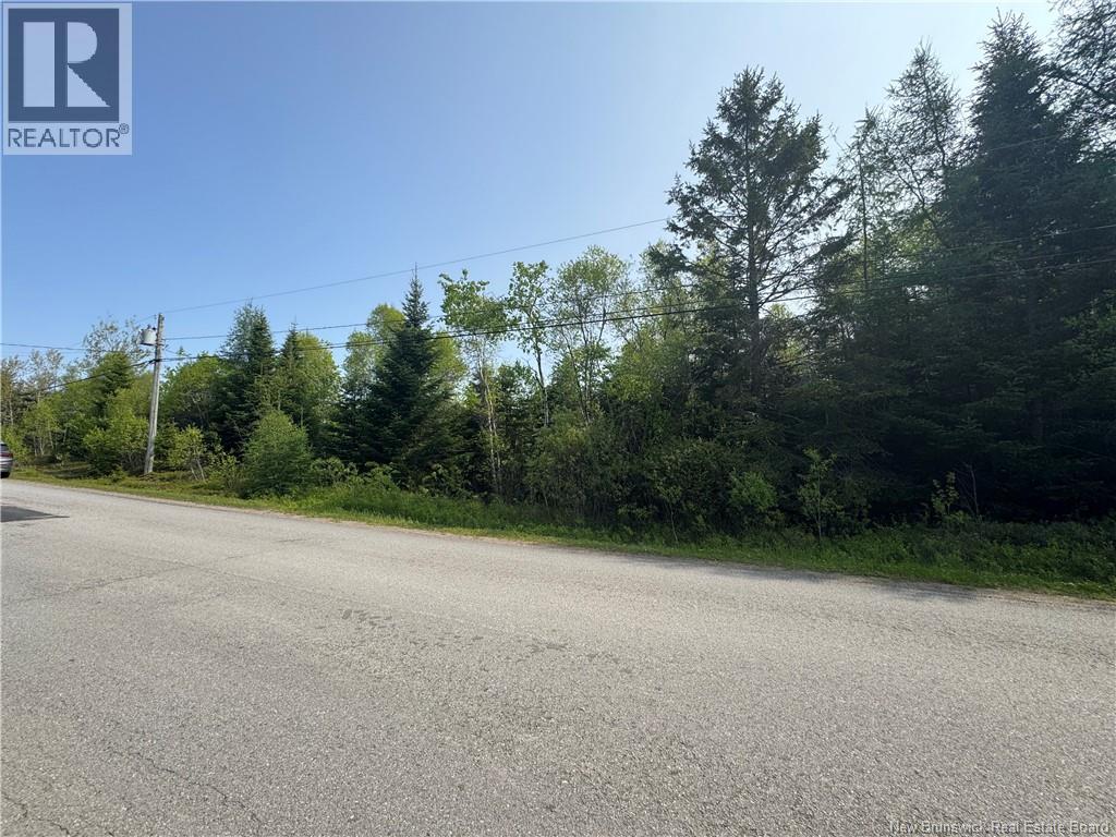 Route 770, Lee Settlement, New Brunswick  E5C 1G3 - Photo 1 - NB135043
