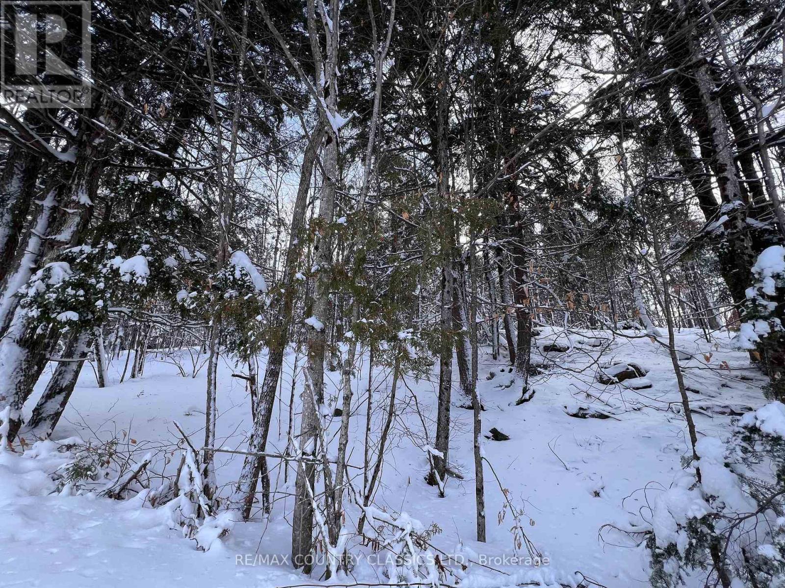 1322a Weslemkoon Lake Road, Tudor And Cashel, Ontario  K0L 1W0 - Photo 42 - X12895156