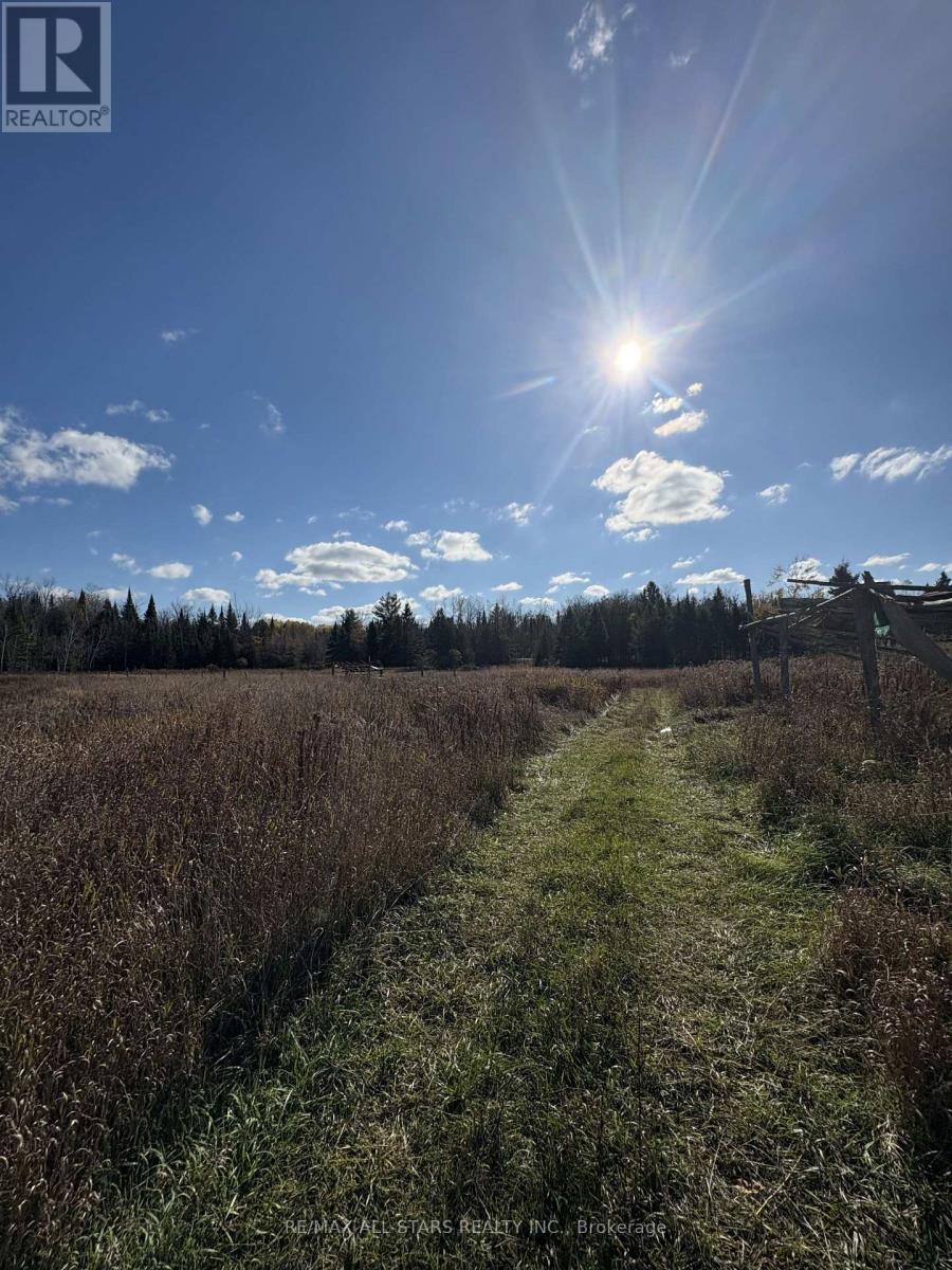 3783 Monck Road, Kawartha Lakes (Somerville), Ontario  K0M 1K0 - Photo 27 - X12895196