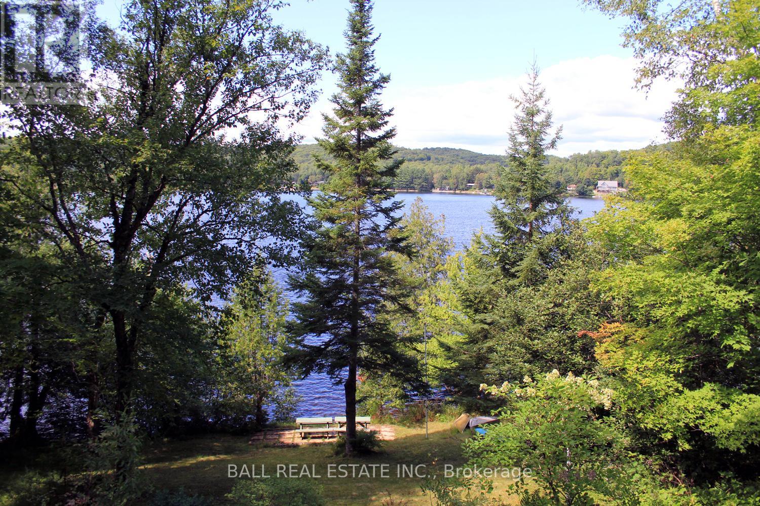 277 W Diamond Lake Road, Hastings Highlands (Herschel Ward), Ontario  K0L 2A0 - Photo 5 - X12895270