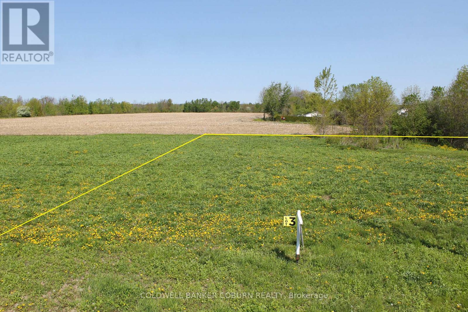 3 - 0000 Lakeshore Drive, South Dundas, Ontario  K0C 1X0 - Photo 27 - X12895308