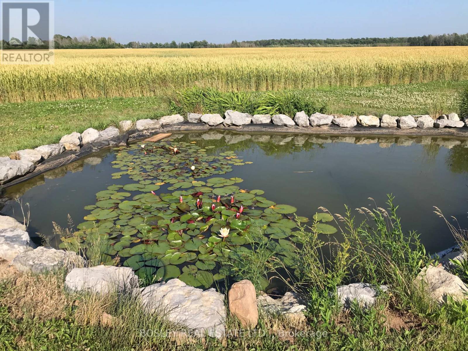 910 Holloway Bay Road, Fort Erie (Mulgrave), Ontario  L0S 1N0 - Photo 42 - X12895178