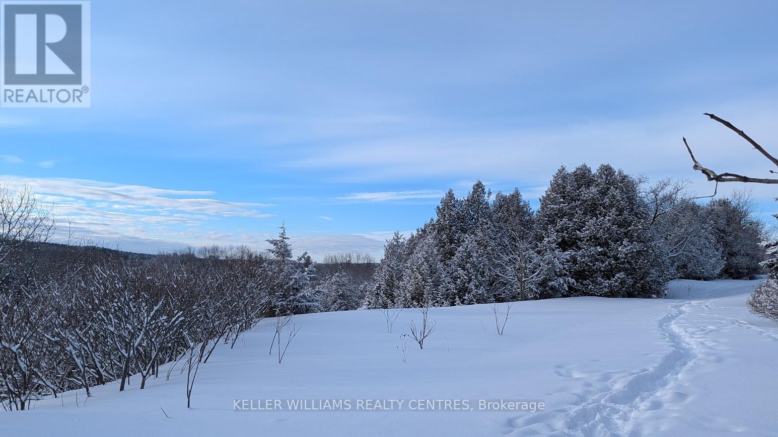 142 Mainprize Crescent, East Gwillimbury, Ontario  L0G 1M0 - Photo 41 - N12895362