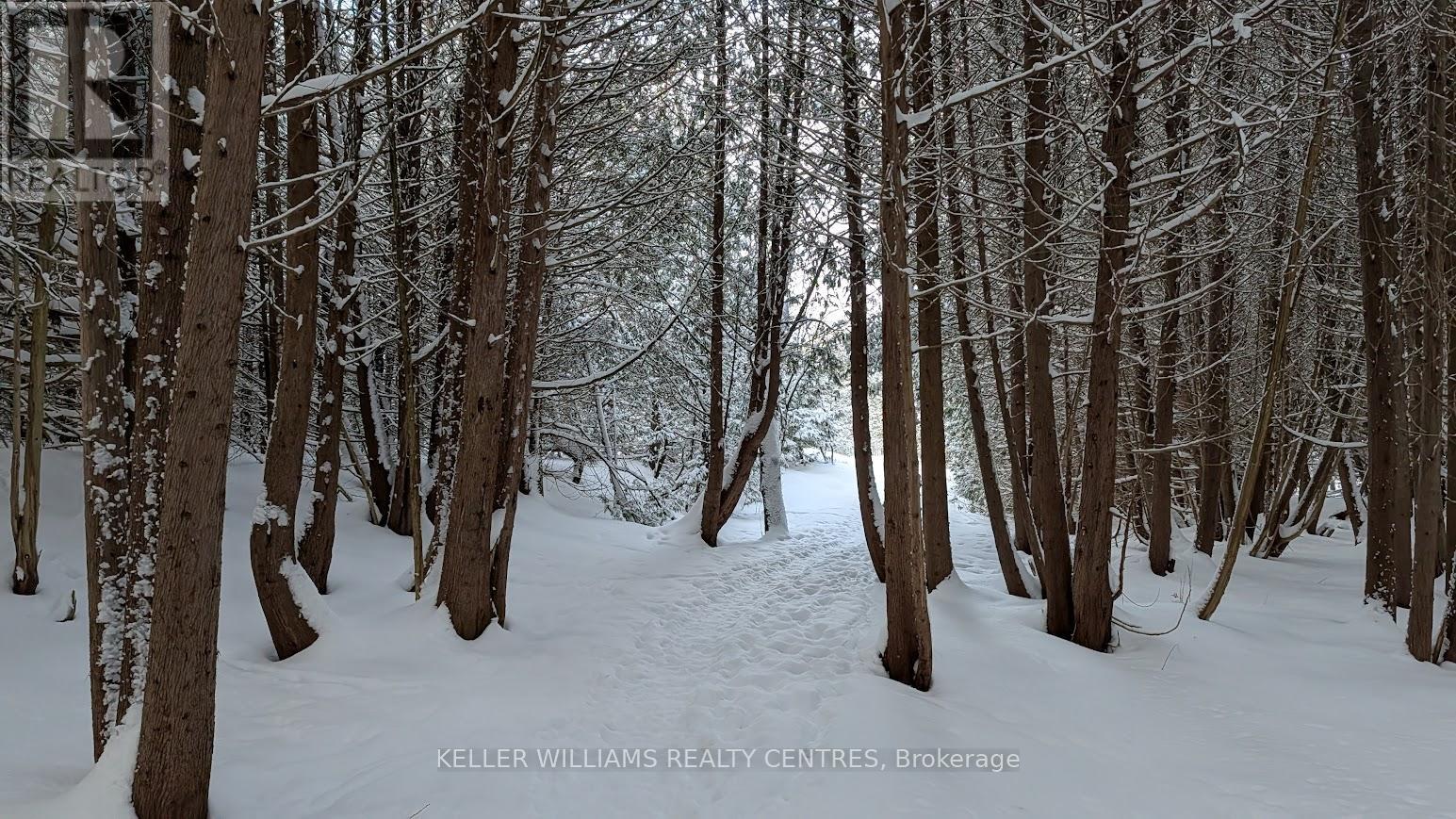 142 Mainprize Crescent, East Gwillimbury, Ontario  L0G 1M0 - Photo 45 - N12895362