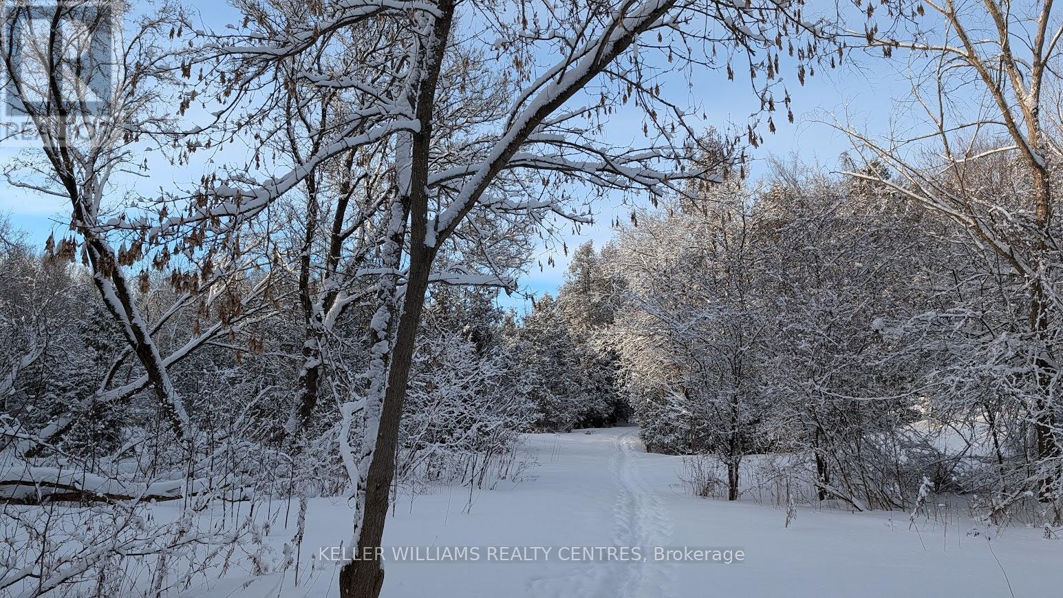 142 Mainprize Crescent, East Gwillimbury, Ontario  L0G 1M0 - Photo 48 - N12895362