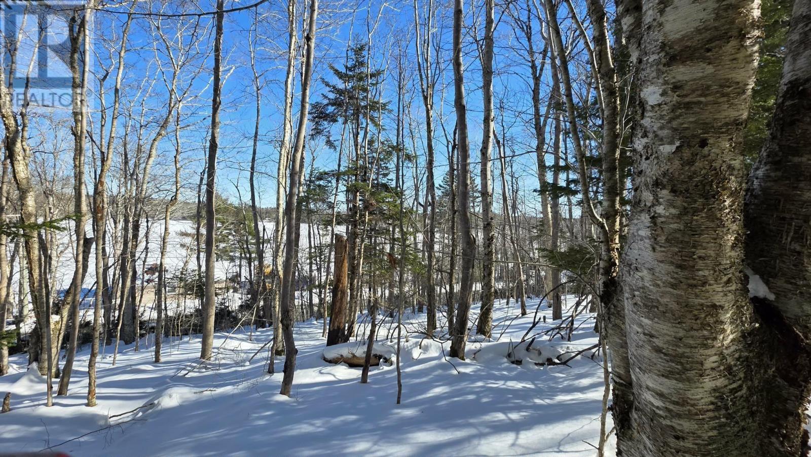 Lot 1 Mood Road, Summerville, Nova Scotia  B5A 5N6 - Photo 9 - 202602670