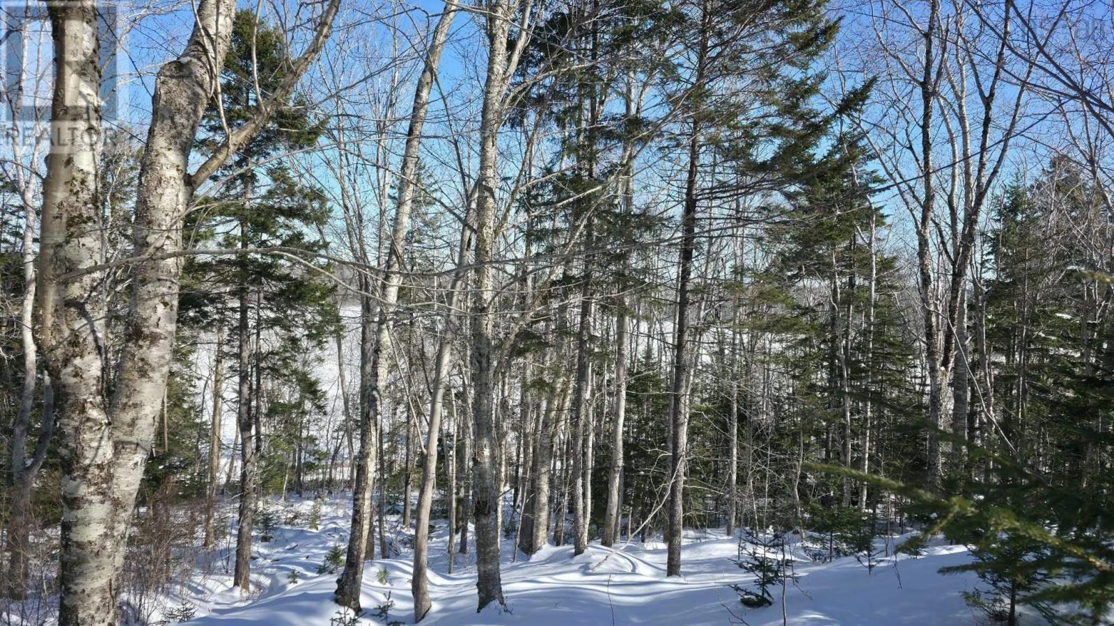 Lot 1 Mood Road, Summerville, Nova Scotia  B5A 5N6 - Photo 5 - 202602670