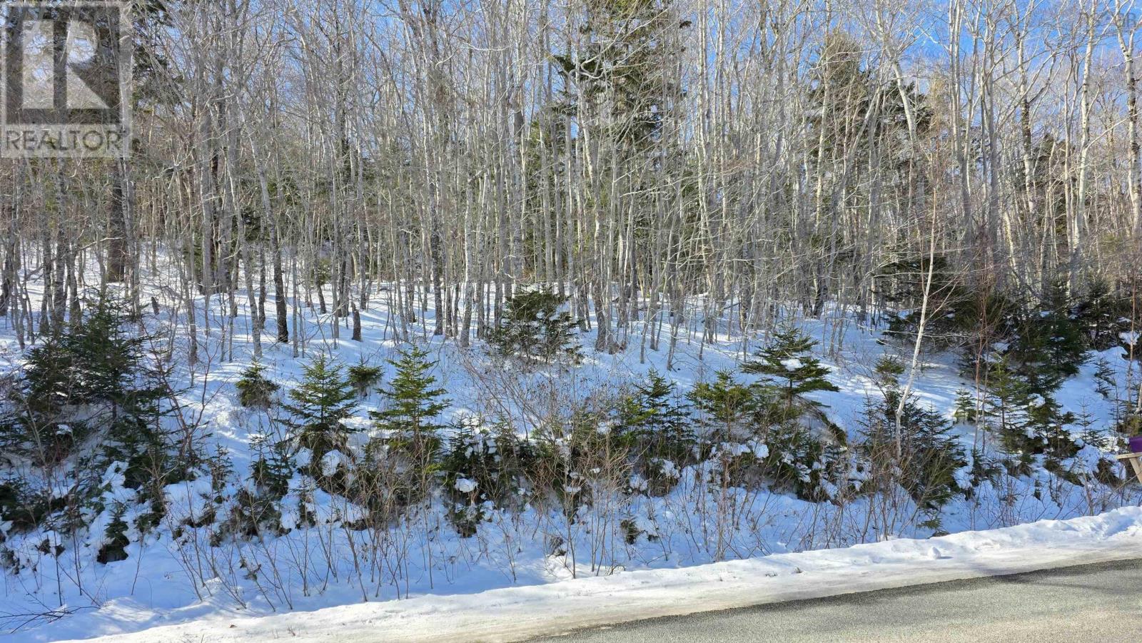 Lot 1 Mood Road, Summerville, Nova Scotia  B5A 5N6 - Photo 2 - 202602670