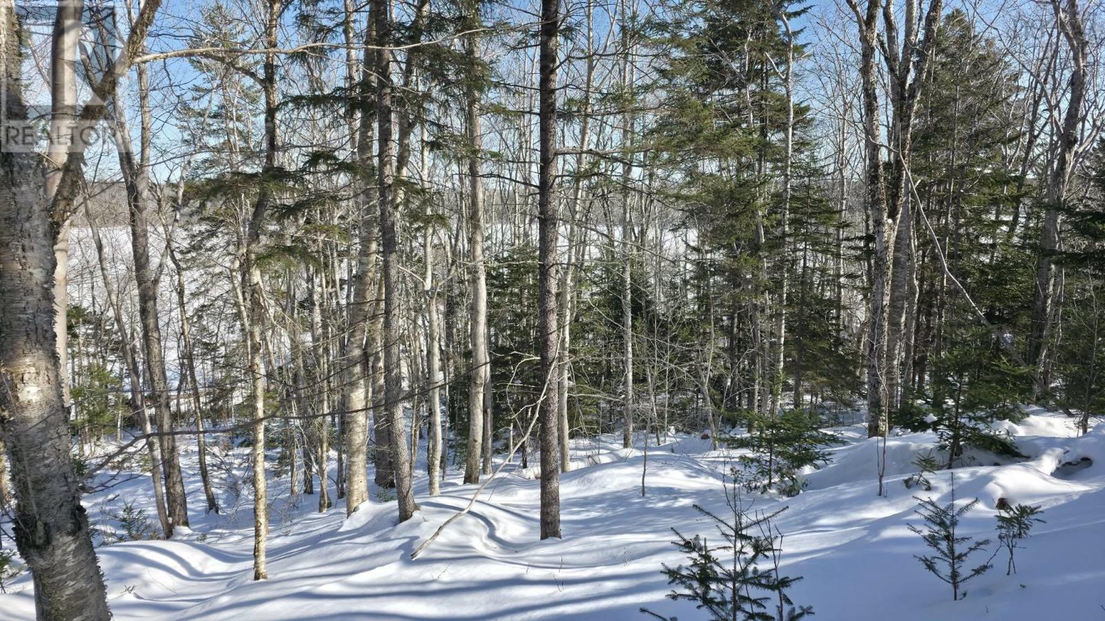 Lot 1 Mood Road, Summerville, Nova Scotia  B5A 5N6 - Photo 7 - 202602670