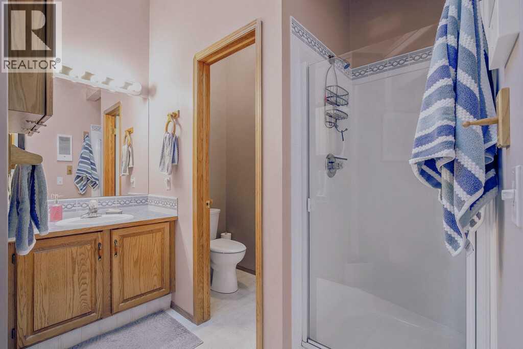 52 Cambridge Glen Drive, Strathmore, Alberta  T1P 1N3 - Photo 14 - A2282528