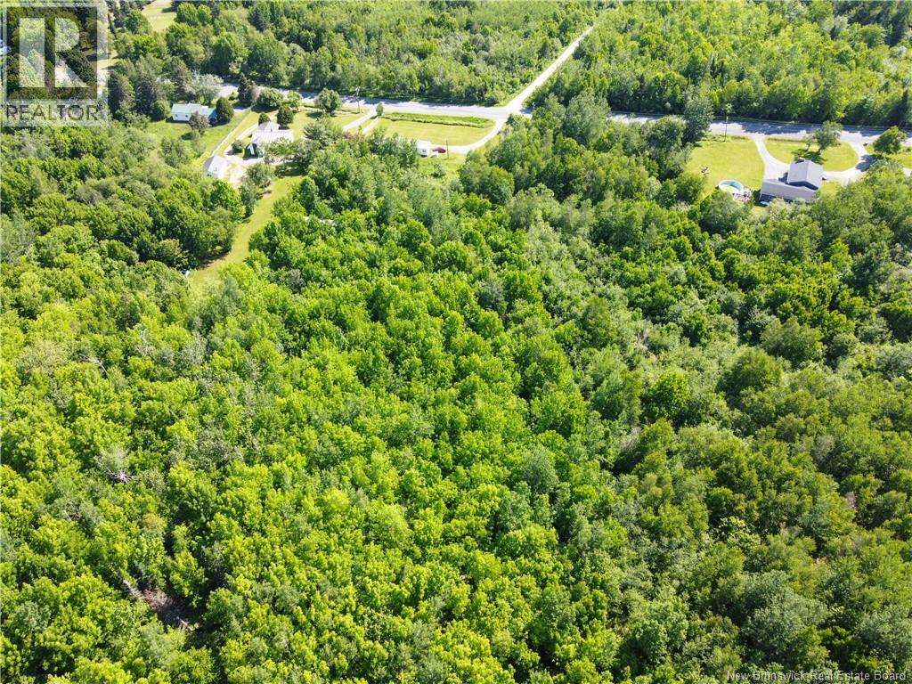 Lot 165 Route, Meductic, New Brunswick  E6H 1B4 - Photo 9 - NB120769