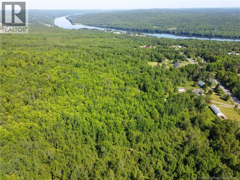 Lot 165 Route, Meductic, New Brunswick  E6H 1B4 - Photo 11 - NB120769