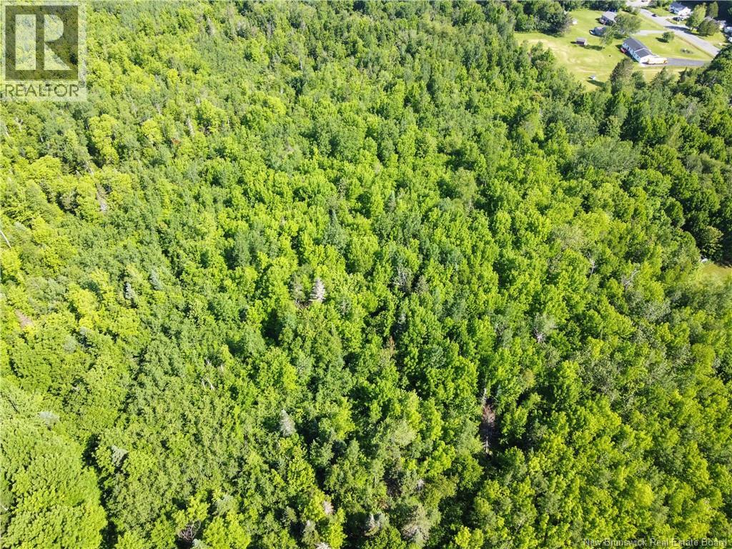 Lot 165 Route, Meductic, New Brunswick  E6H 1B4 - Photo 12 - NB120769