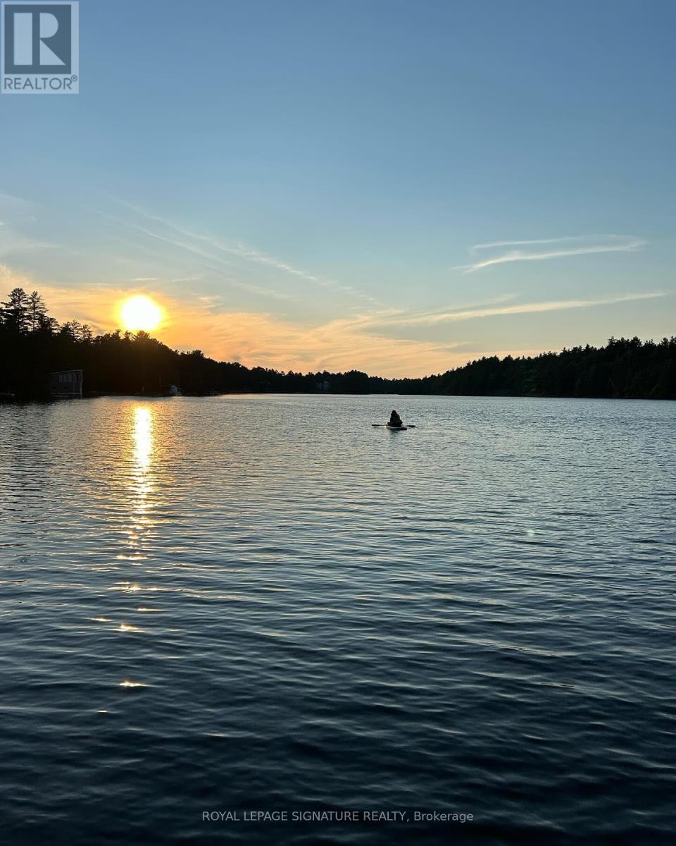 1127 Sunny Lake Road, Gravenhurst (Muskoka (S)), Ontario  P1P 0G3 - Photo 43 - X12895622