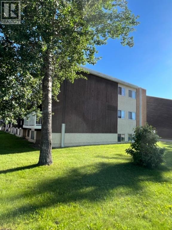 5 Sunset Boulevard, Whitecourt, Alberta  T7S 1K8 - Photo 8 - A2228412