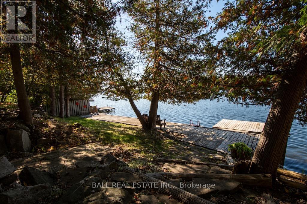 12 Bedwell Drive, North Kawartha, Ontario  K0L 3E0 - Photo 39 - X12459775