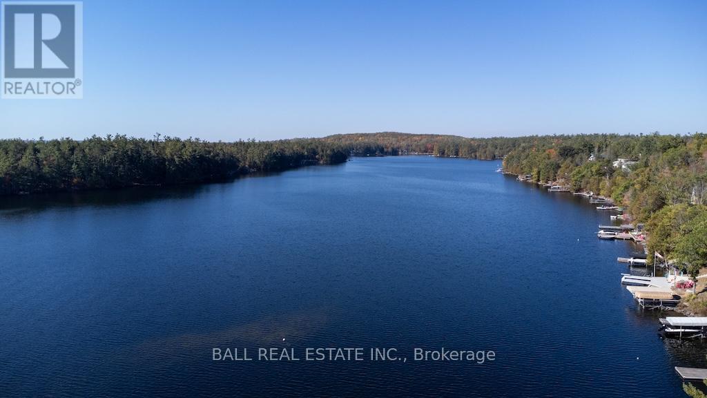 12 Bedwell Drive, North Kawartha, Ontario  K0L 3E0 - Photo 35 - X12459775