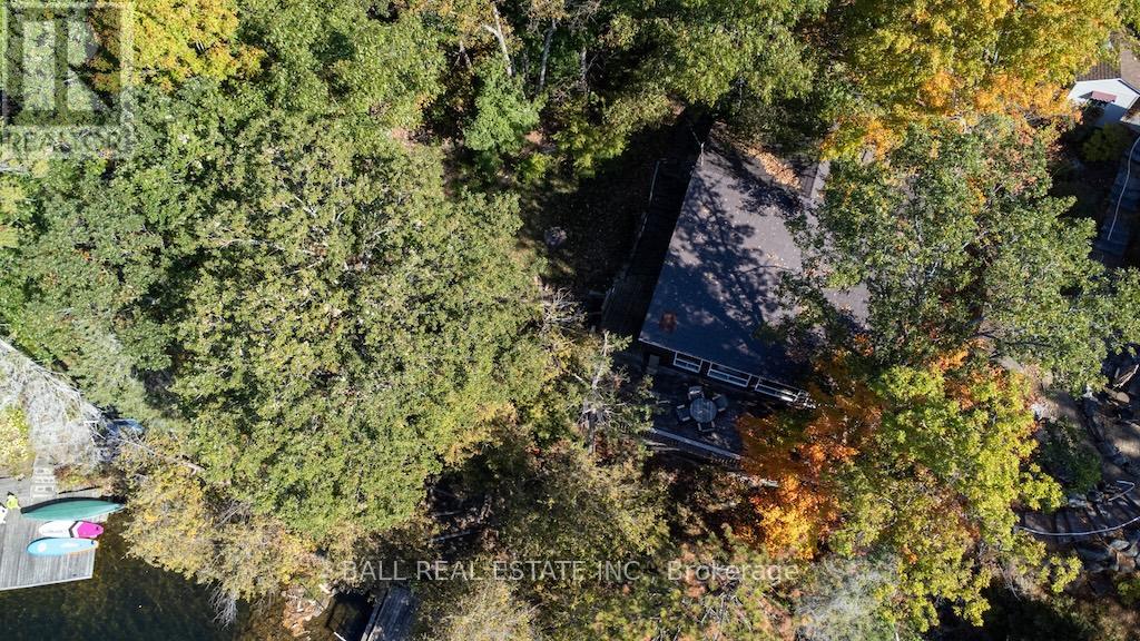 12 Bedwell Drive, North Kawartha, Ontario  K0L 3E0 - Photo 6 - X12459775