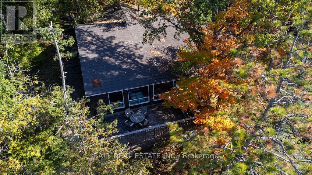 12 Bedwell Drive, North Kawartha, Ontario  K0L 3E0 - Photo 8 - X12459775