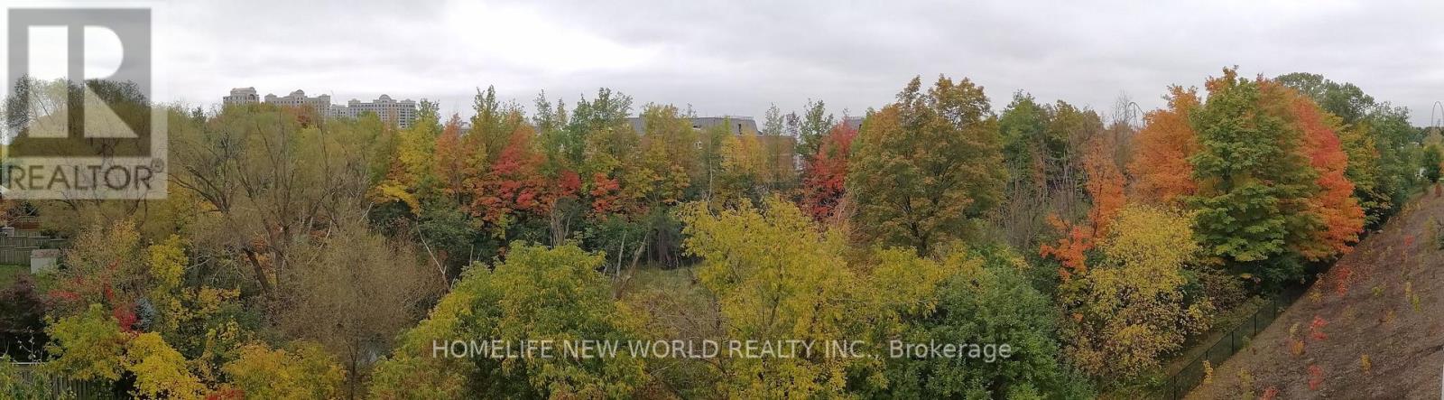 29 - 181 Parktree Drive, Vaughan, Ontario  L6A 5B1 - Photo 4 - N12772928