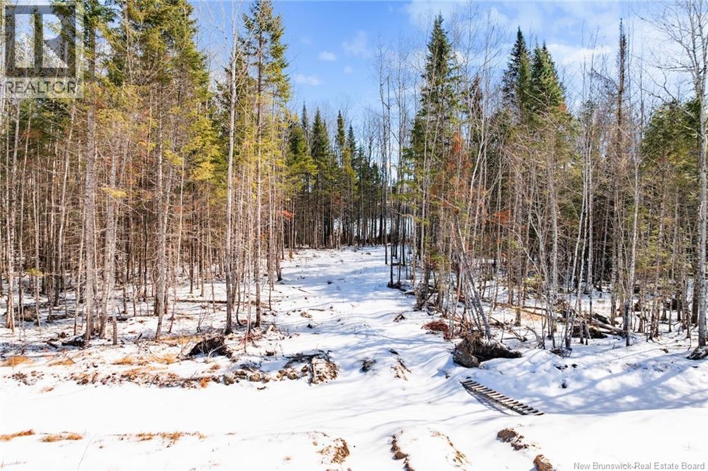 121 Edgewater Lane, Keswick Ridge, New Brunswick  E3E 1T7 - Photo 10 - NB135263