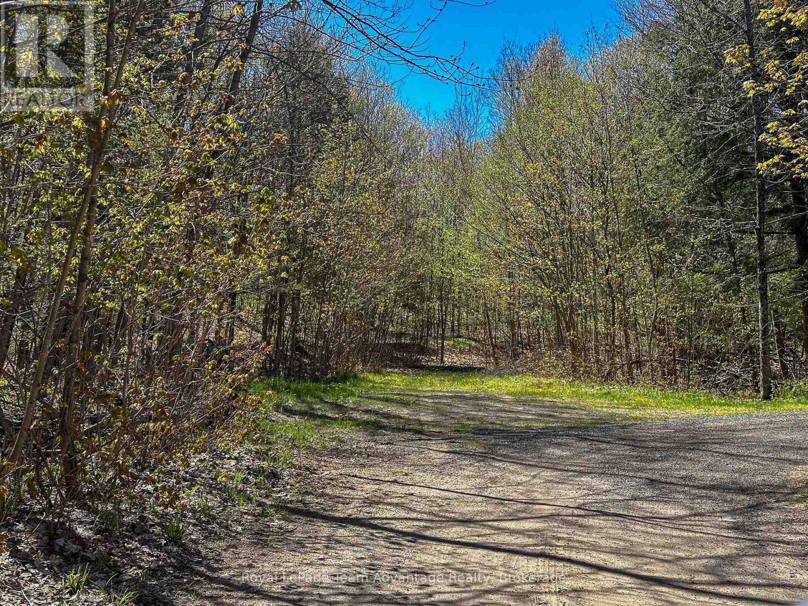 Lt 57 Brostead Drive, Mcdougall, Ontario  P2A 2W9 - Photo 16 - X12895650