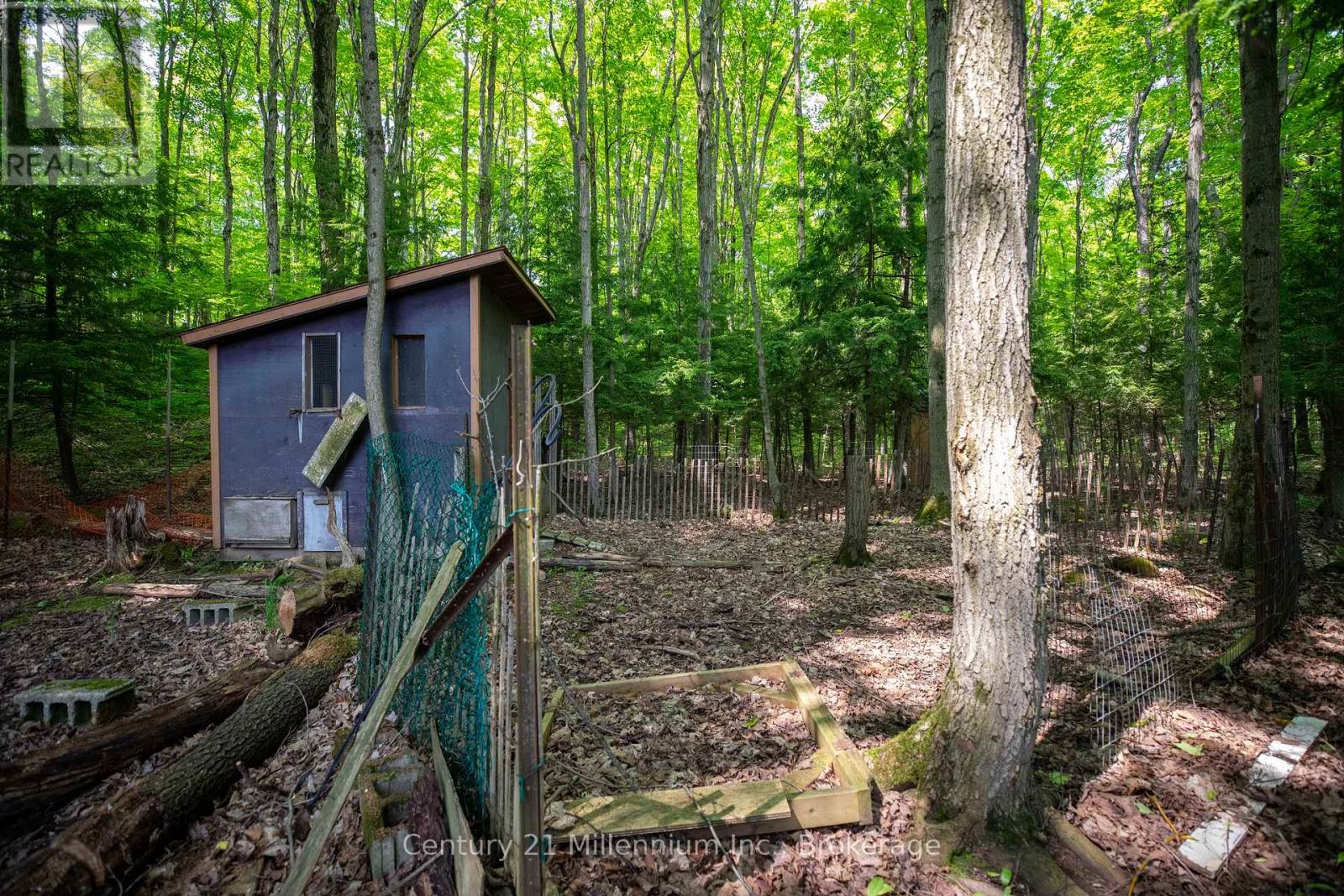 215319 Concession 4, Chatsworth, Ontario  N0H 2V0 - Photo 42 - X12895668