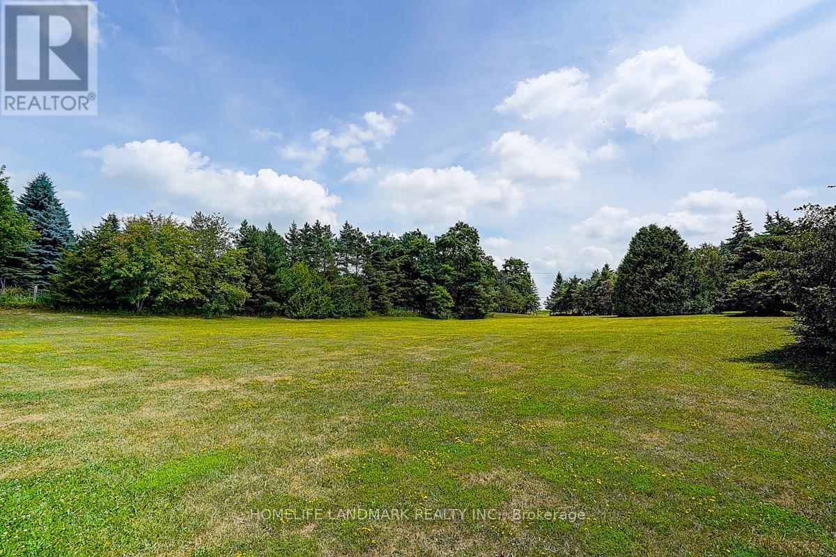 6068 Bloomington Road, Whitchurch-Stouffville, Ontario  L4A 2W7 - Photo 11 - N12895748