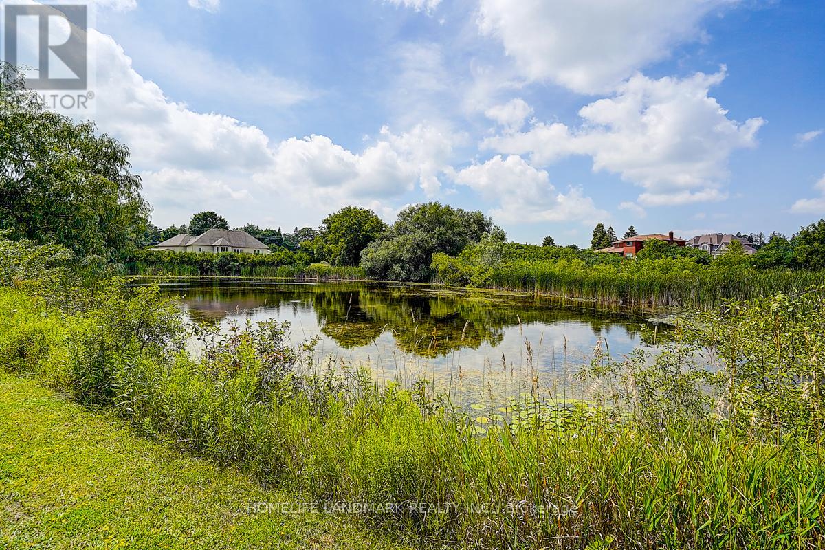 6068 Bloomington Road, Whitchurch-Stouffville, Ontario  L4A 2W7 - Photo 12 - N12895748