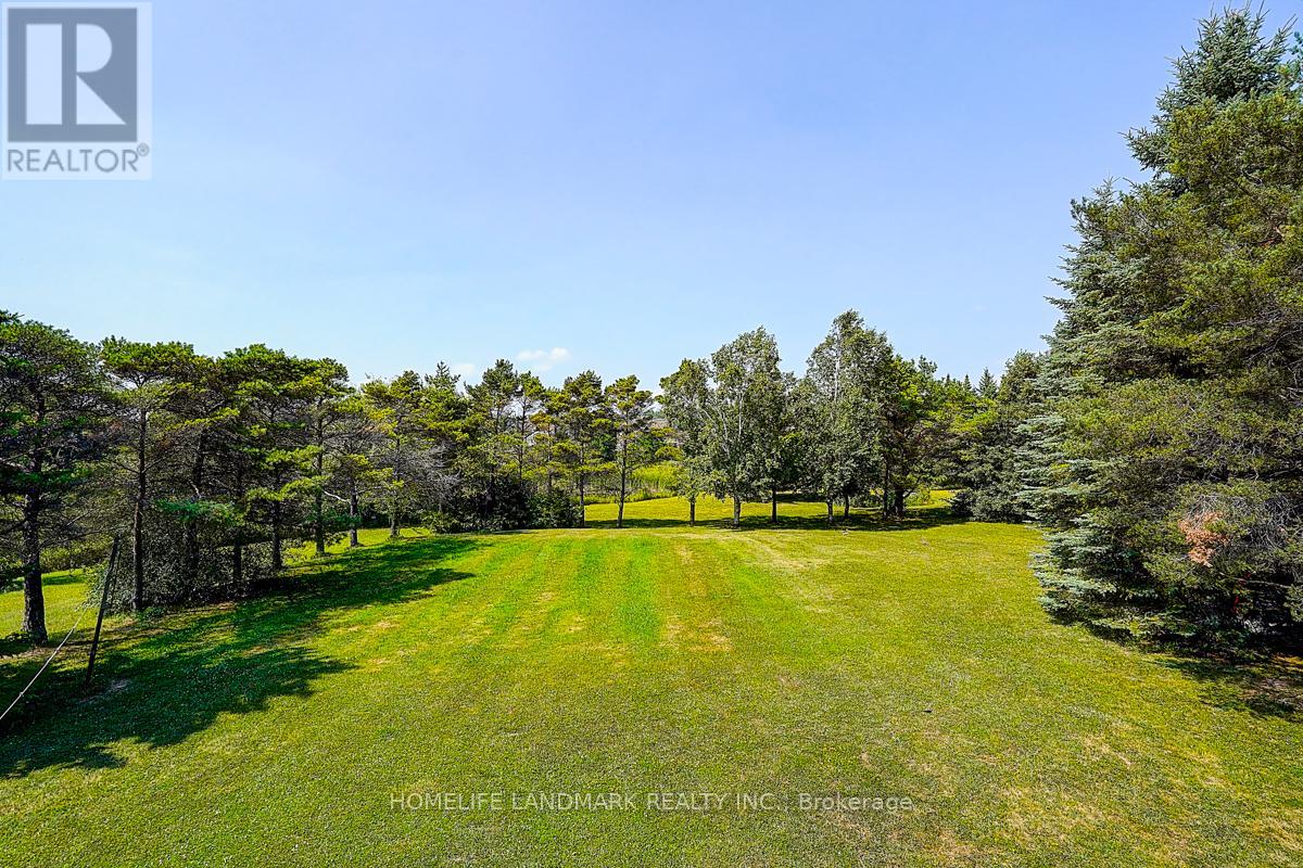 6068 Bloomington Road, Whitchurch-Stouffville, Ontario  L4A 2W7 - Photo 47 - N12895748