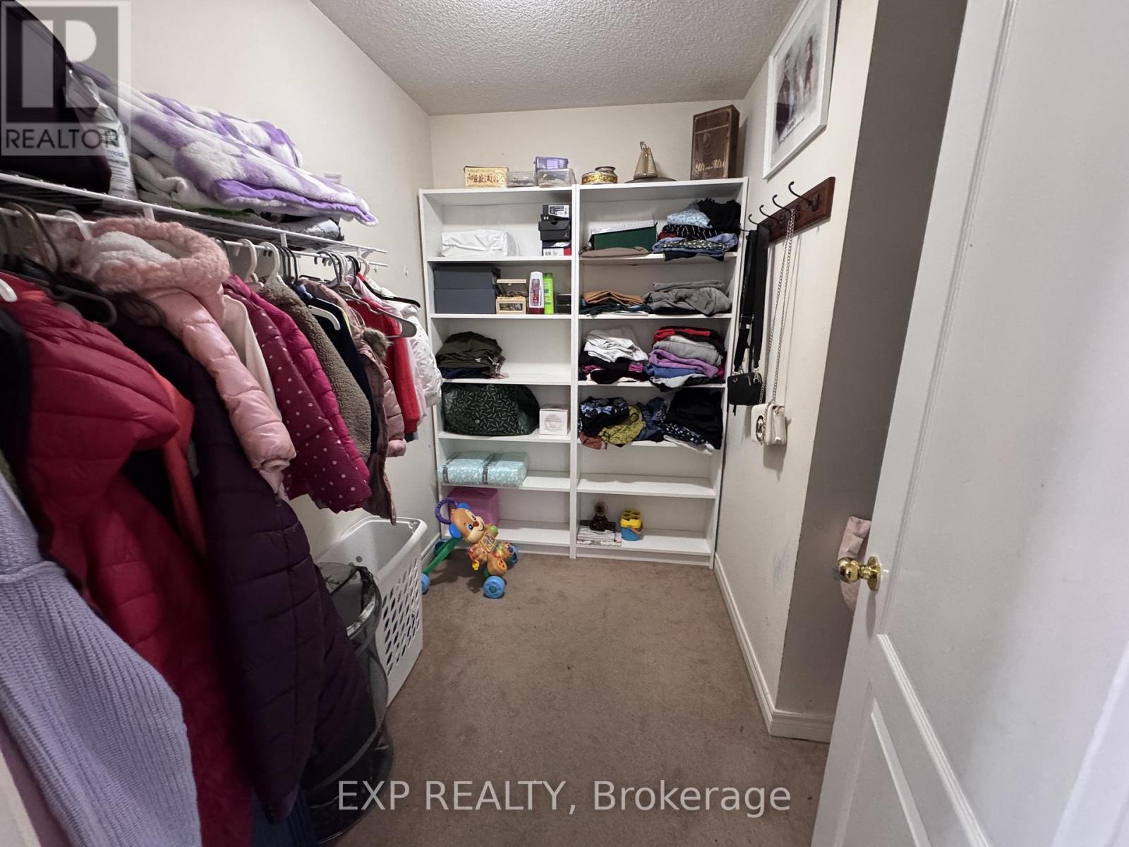 43 Thornbush Boulevard, Brampton, Ontario  L7A 0K5 - Photo 16 - W12895782