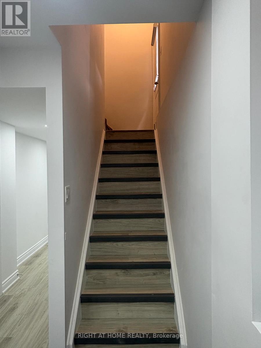 Basement - 36 Hubbell Rd Road S, Brampton, Ontario  L6Y 2A5 - Photo 3 - W12895866