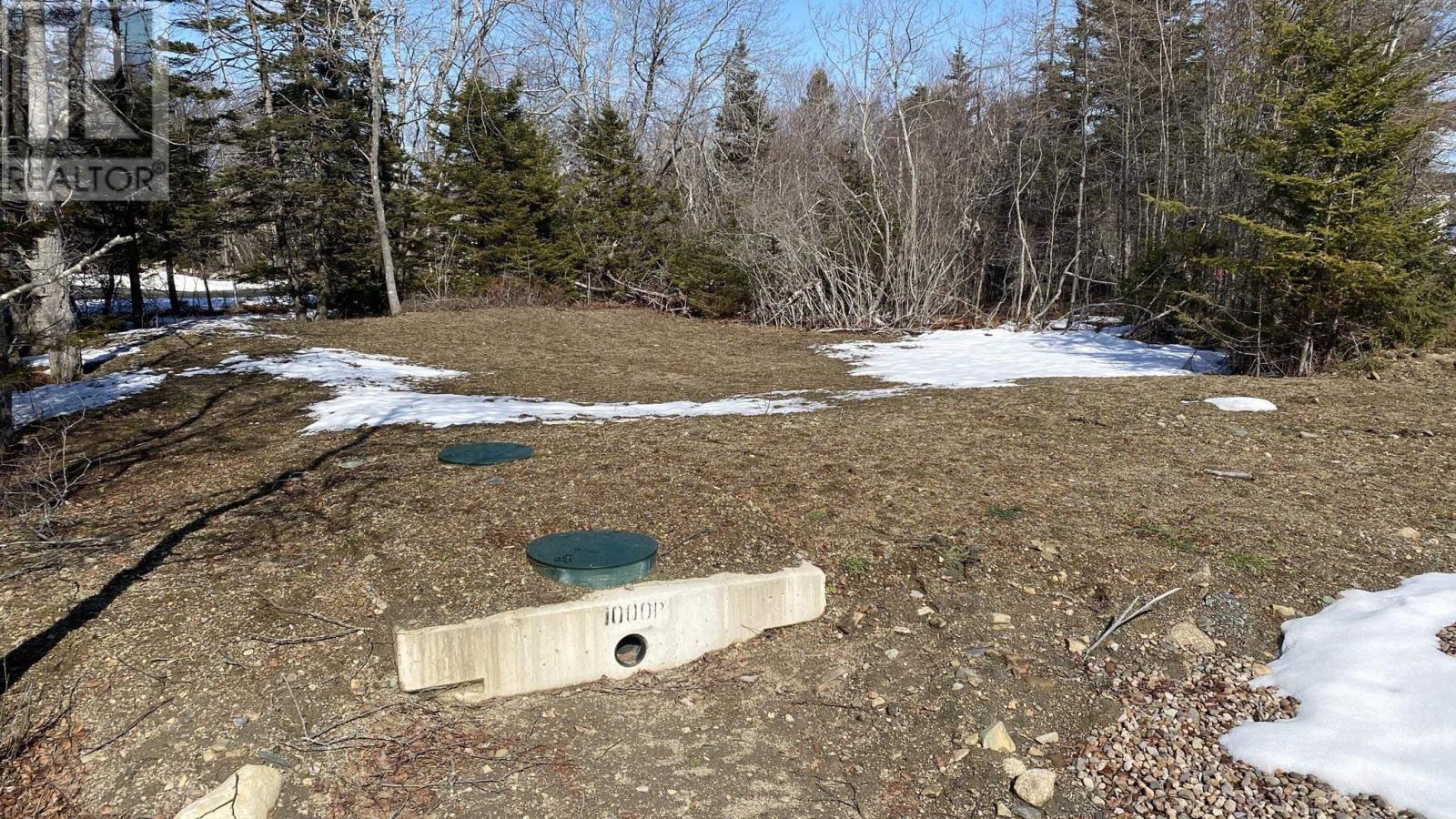 Lot 1 Highway 331, Dublin Shore, Nova Scotia  B0R 1C0 - Photo 22 - 202604839