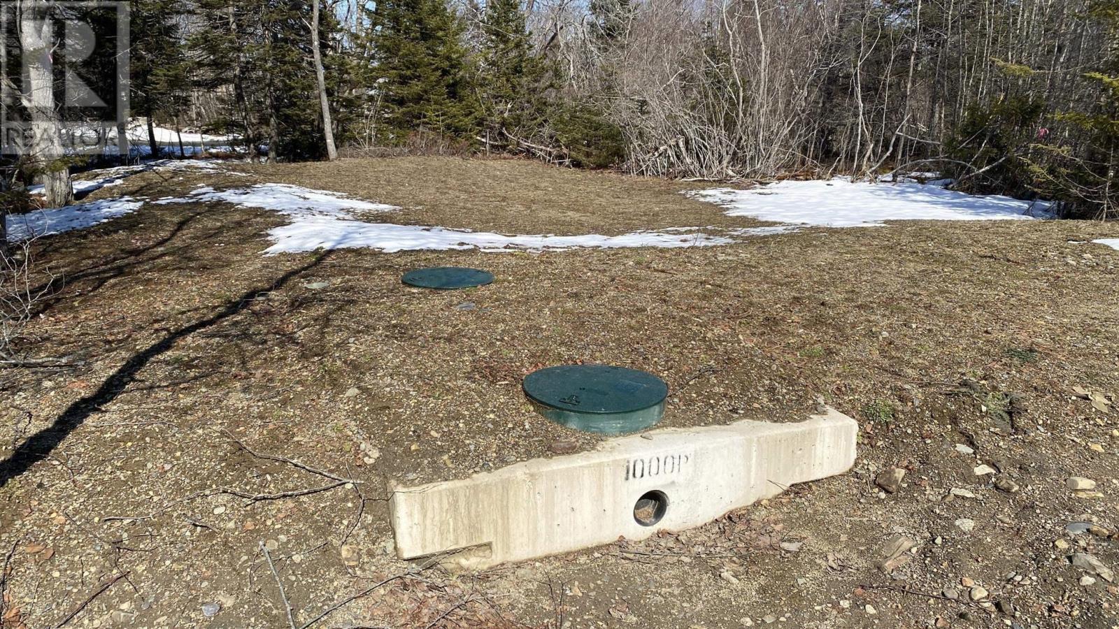 Lot 1 Highway 331, Dublin Shore, Nova Scotia  B0R 1C0 - Photo 21 - 202604839