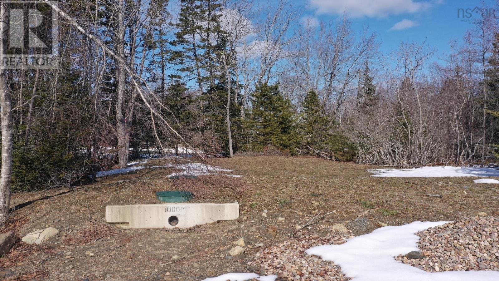 Lot 1 Highway 331, Dublin Shore, Nova Scotia  B0R 1C0 - Photo 23 - 202604839