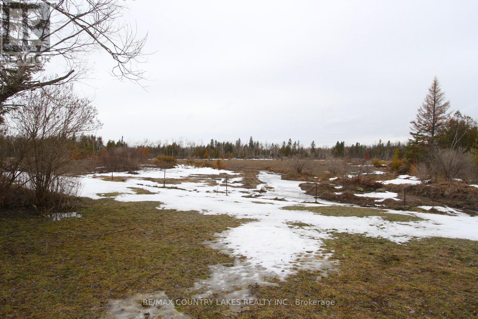 264 Mcguire Beach Road, Kawartha Lakes (Carden), Ontario  K0M 2B0 - Photo 6 - X12895662