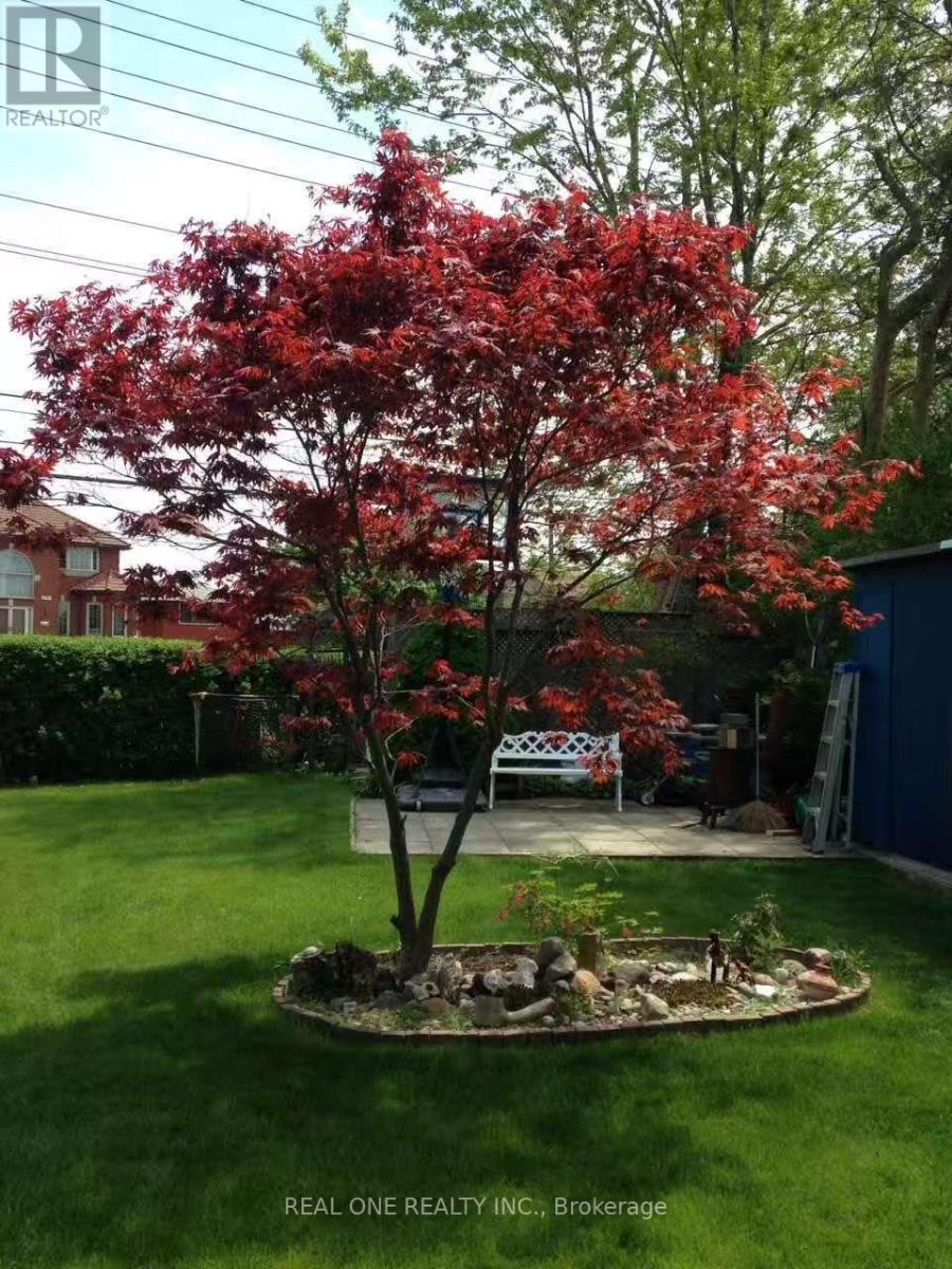 85 Clydesdale Drive, Toronto, Ontario  M2J 3N3 - Photo 48 - C12895992