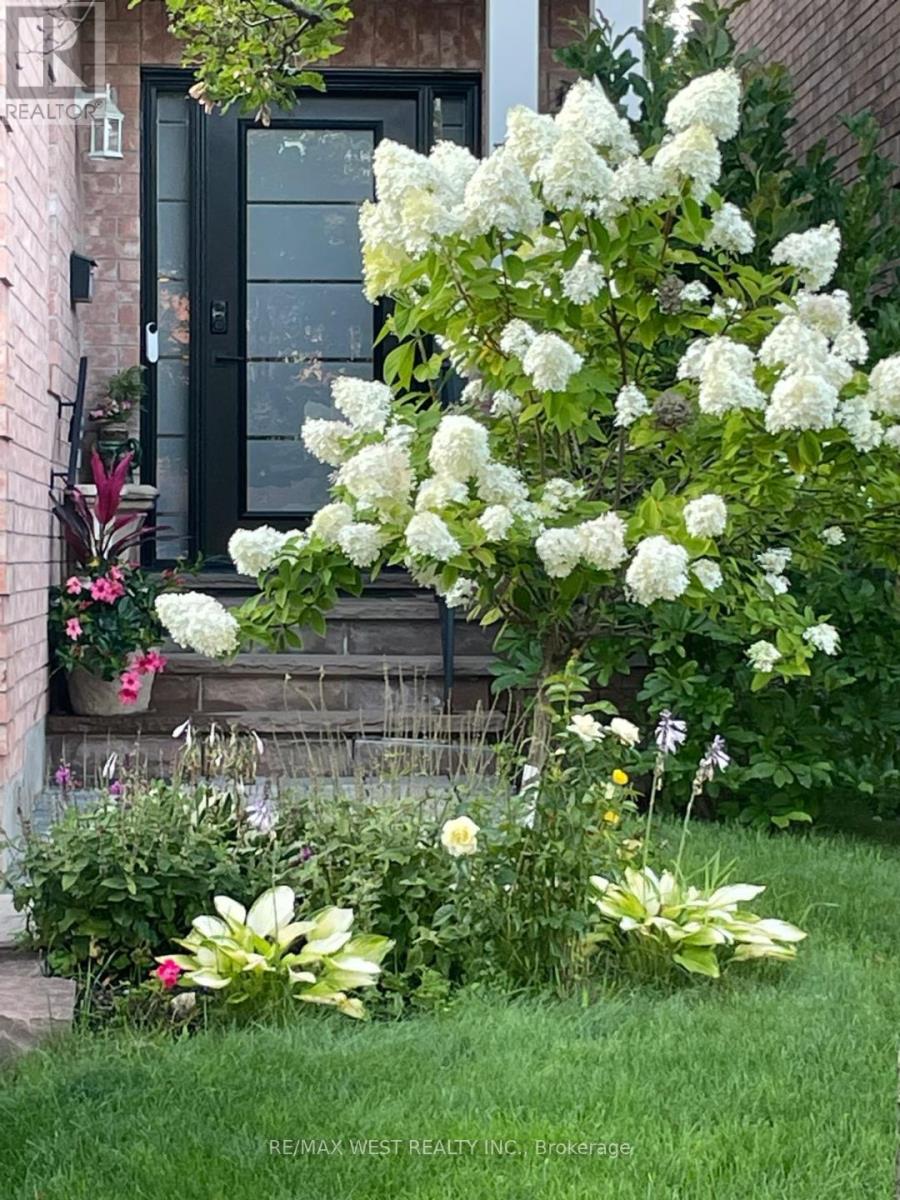 338 Mcbride Crescent, Newmarket, Ontario  L3X 2W3 - Photo 40 - N12891978