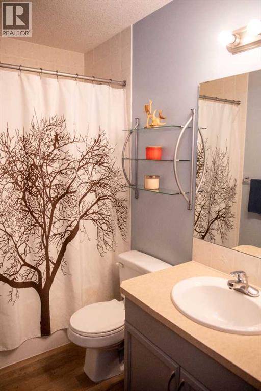 283 Highland Circle, Strathmore, Alberta  T1P 1V5 - Photo 13 - A2278908