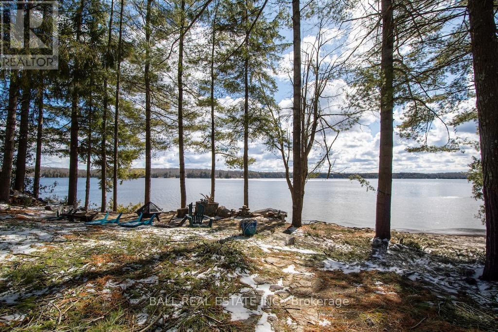 2077 White Lake Road W, Douro-Dummer, Ontario  K0L 2H0 - Photo 40 - X12890264