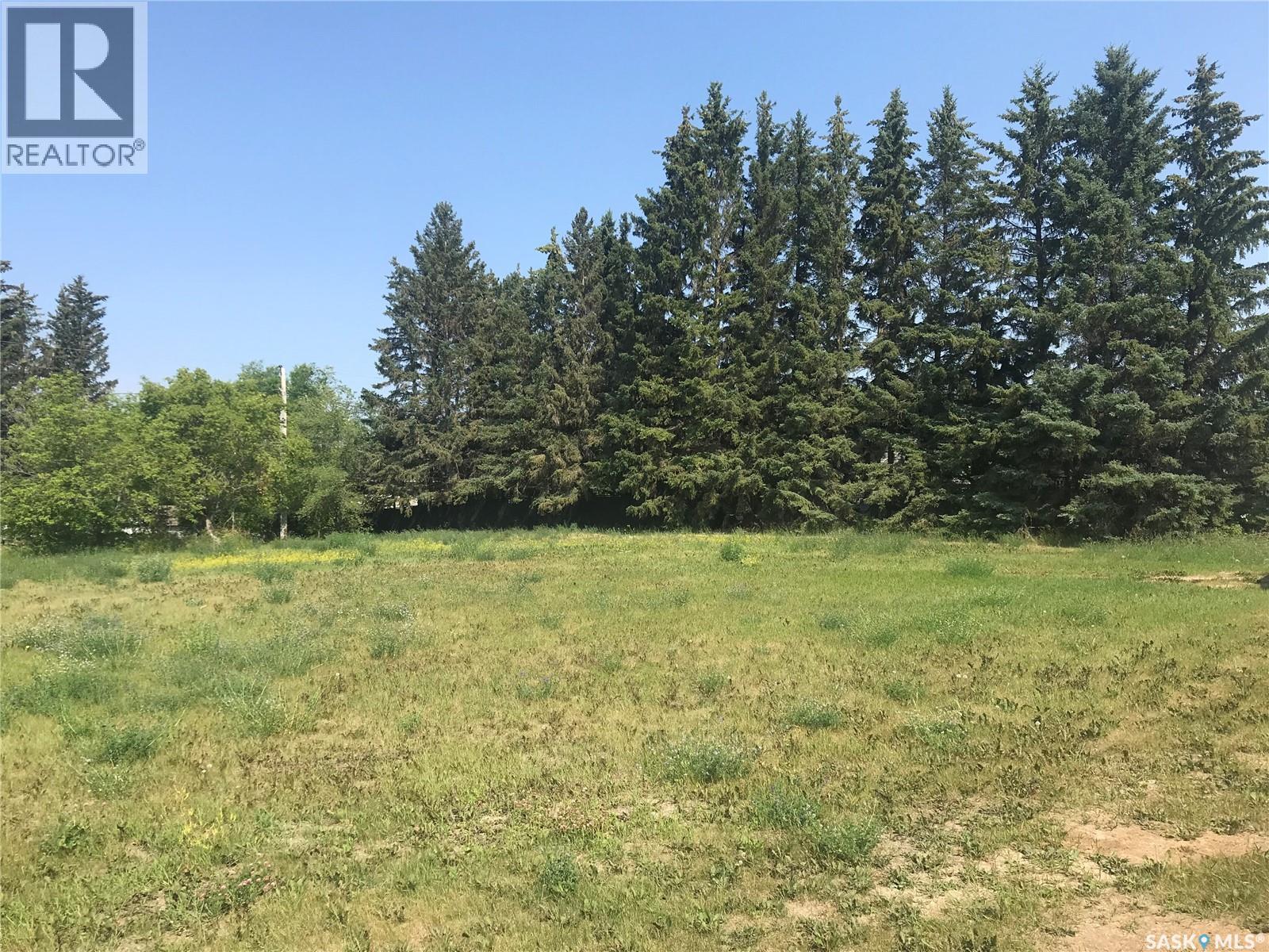 214 Gordon Avenue, Orkney Rm No. 244, Saskatchewan  S3N 2W1 - Photo 1 - SK030724