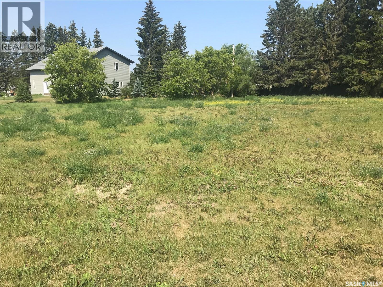 214 Gordon Avenue, Orkney Rm No. 244, Saskatchewan  S3N 2W1 - Photo 3 - SK030724