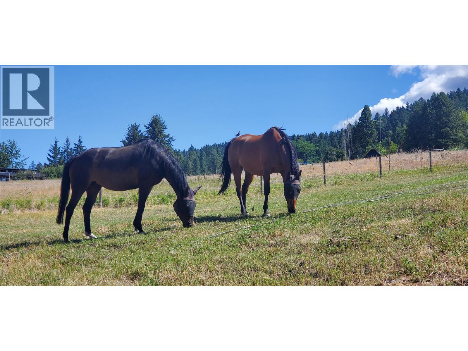 7697 Baker Hogg Road, Vernon, British Columbia  V1B 3S3 - Photo 65 - 10379548