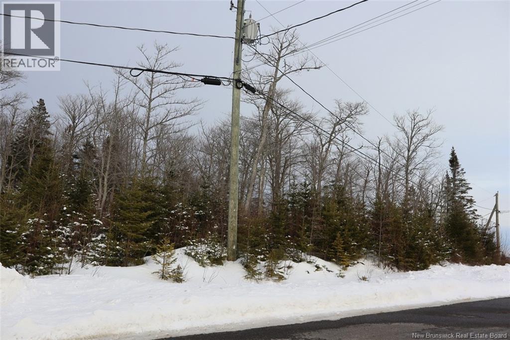 Lot De La Falaise Street, Edmundston, New Brunswick  E3V 0G8 - Photo 4 - NB135207